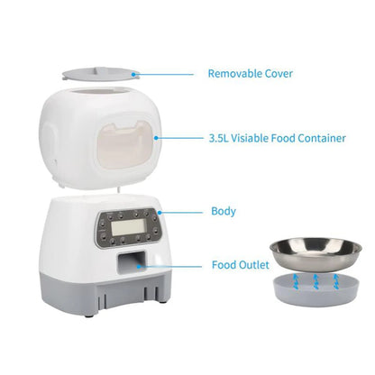 Automatic Feeder & Water Fountain