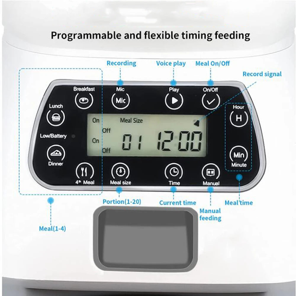 Automatic Feeder & Water Fountain