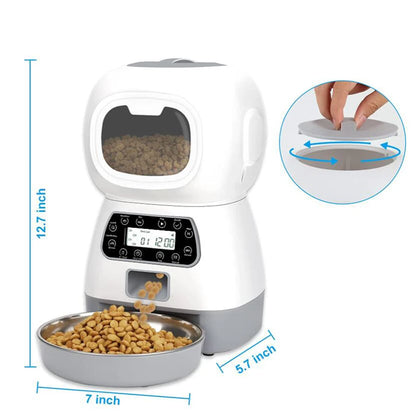 Automatic Feeder & Water Fountain