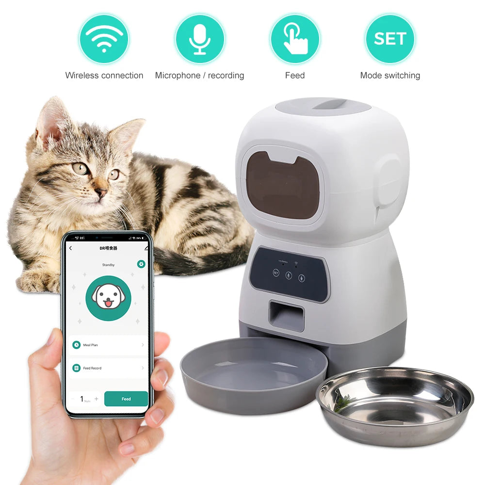 Automatic Feeder & Water Fountain