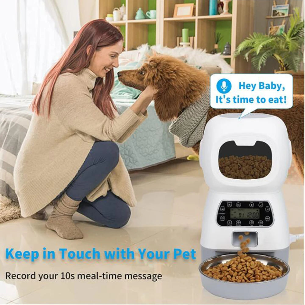 Automatic Feeder & Water Fountain