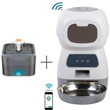 Automatic Feeder & Water Fountain