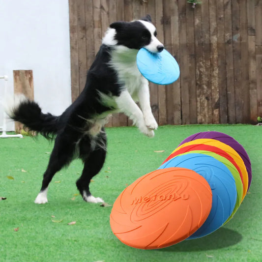 Flying Disc Toys For Dog